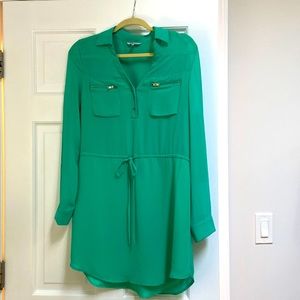 Green Sheer sleeve Naked Zebra dress with gold embelishment